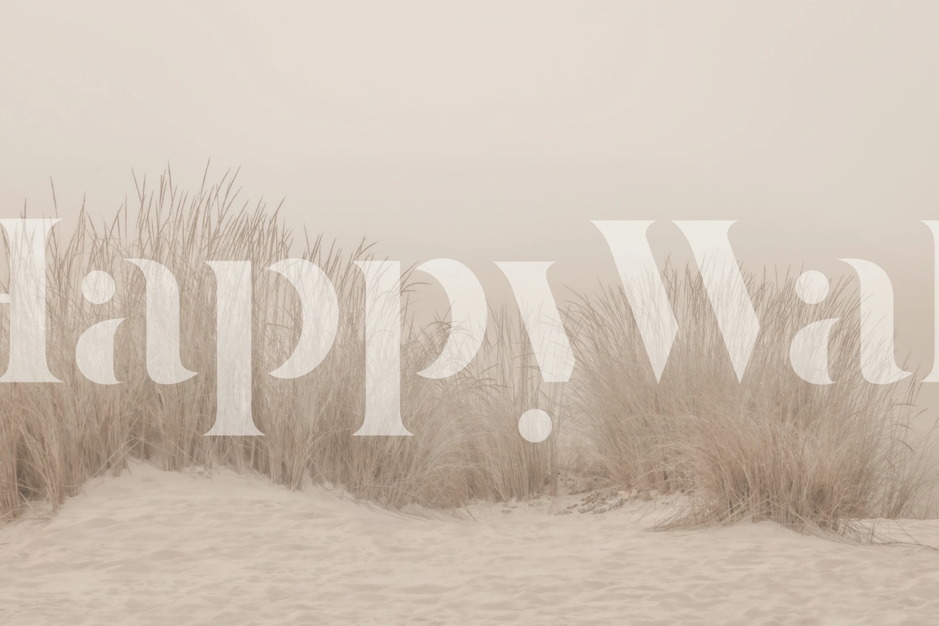 Dimmiga stranddyner med beige grästapet