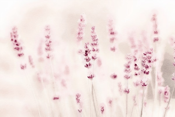 Watercolor Lavender Beige