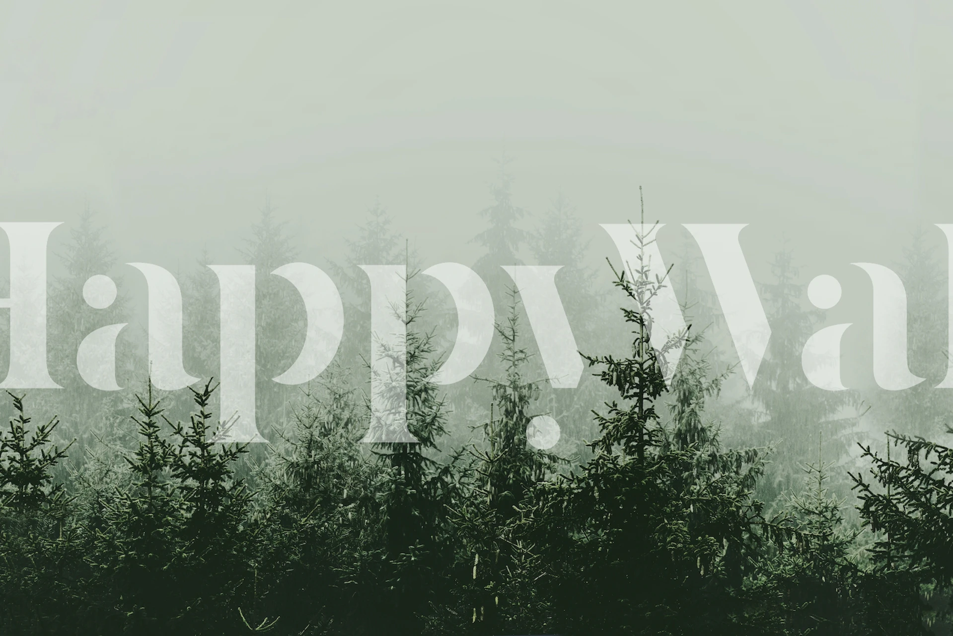 Mountain Forest tapet i et rum