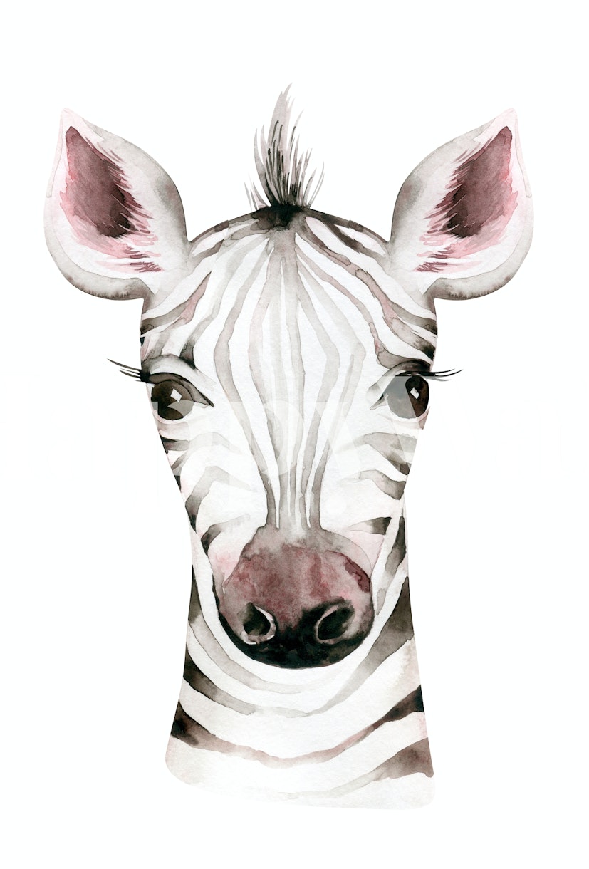 Cute Zebra wallpaper Happywall