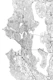 Seattle Map Portrait