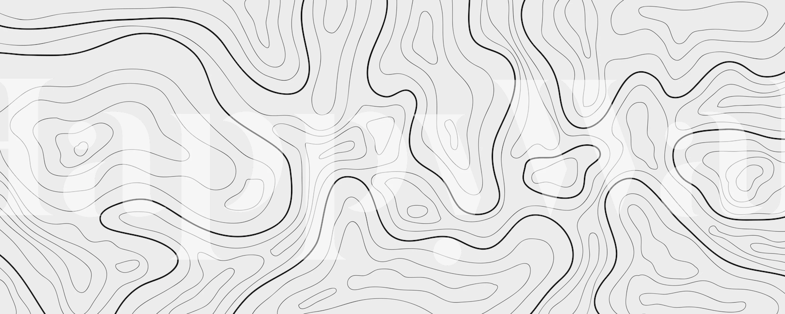 Papier peint Topographic map affiché dans une pièce