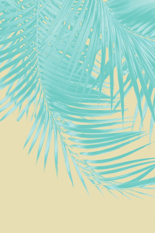 Palm Leaves Summer Vibes 12