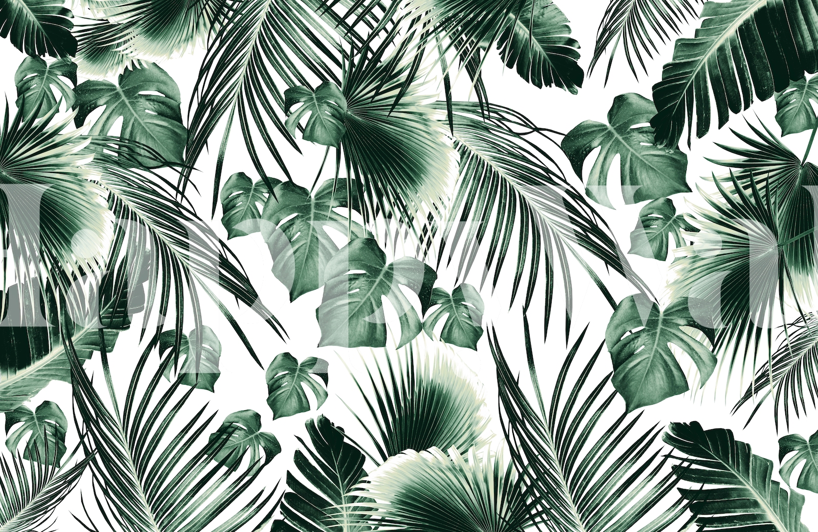 Tropical Jungle Leaves Wallpaper - Buy Online at Happywall