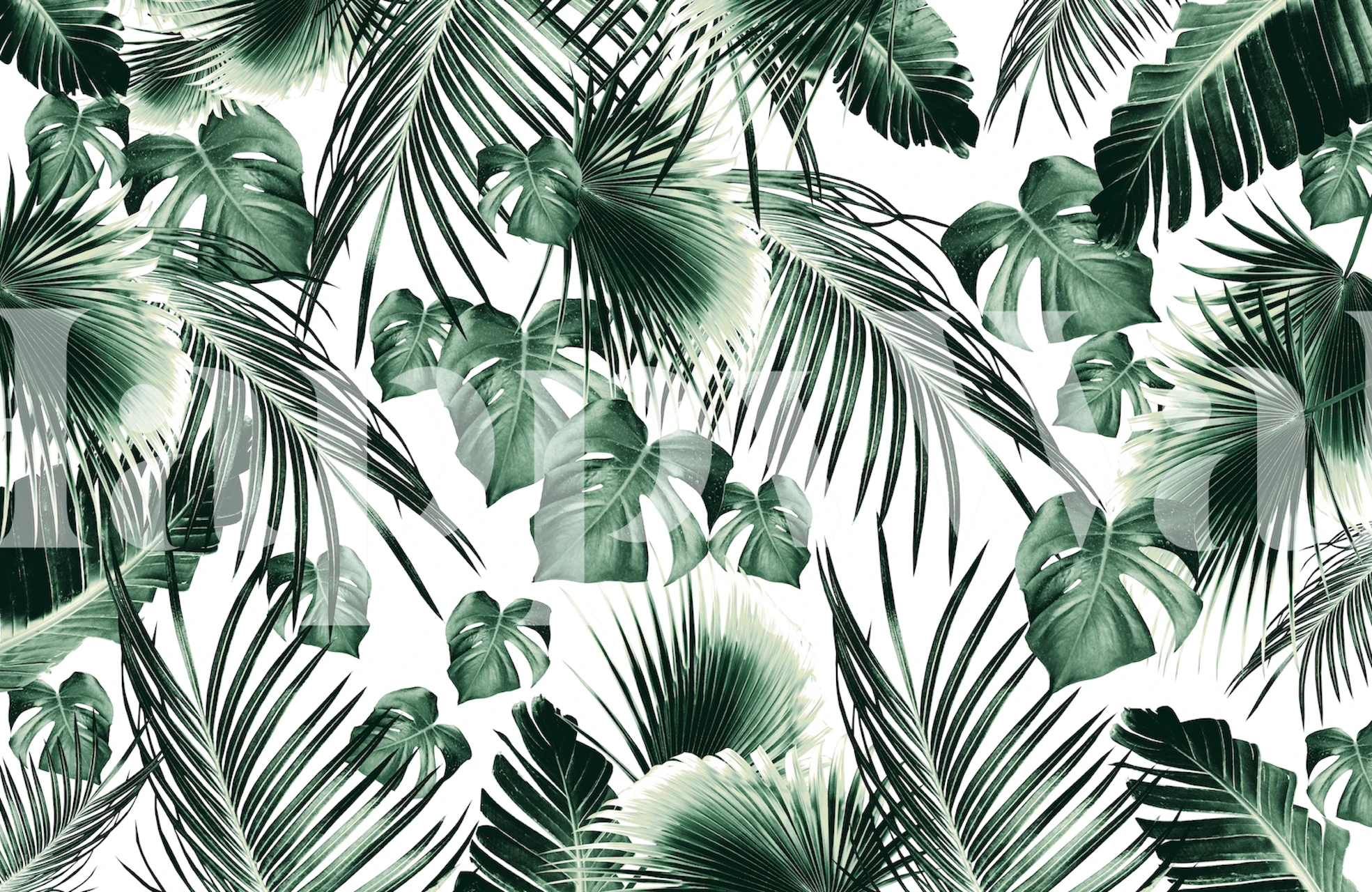 Tropical jungle leaves wallpaper in a room