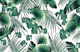 Jungle Leaves Dream 7 w 1