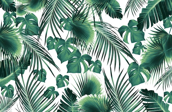 Jungle Leaves Dream 7 w 1