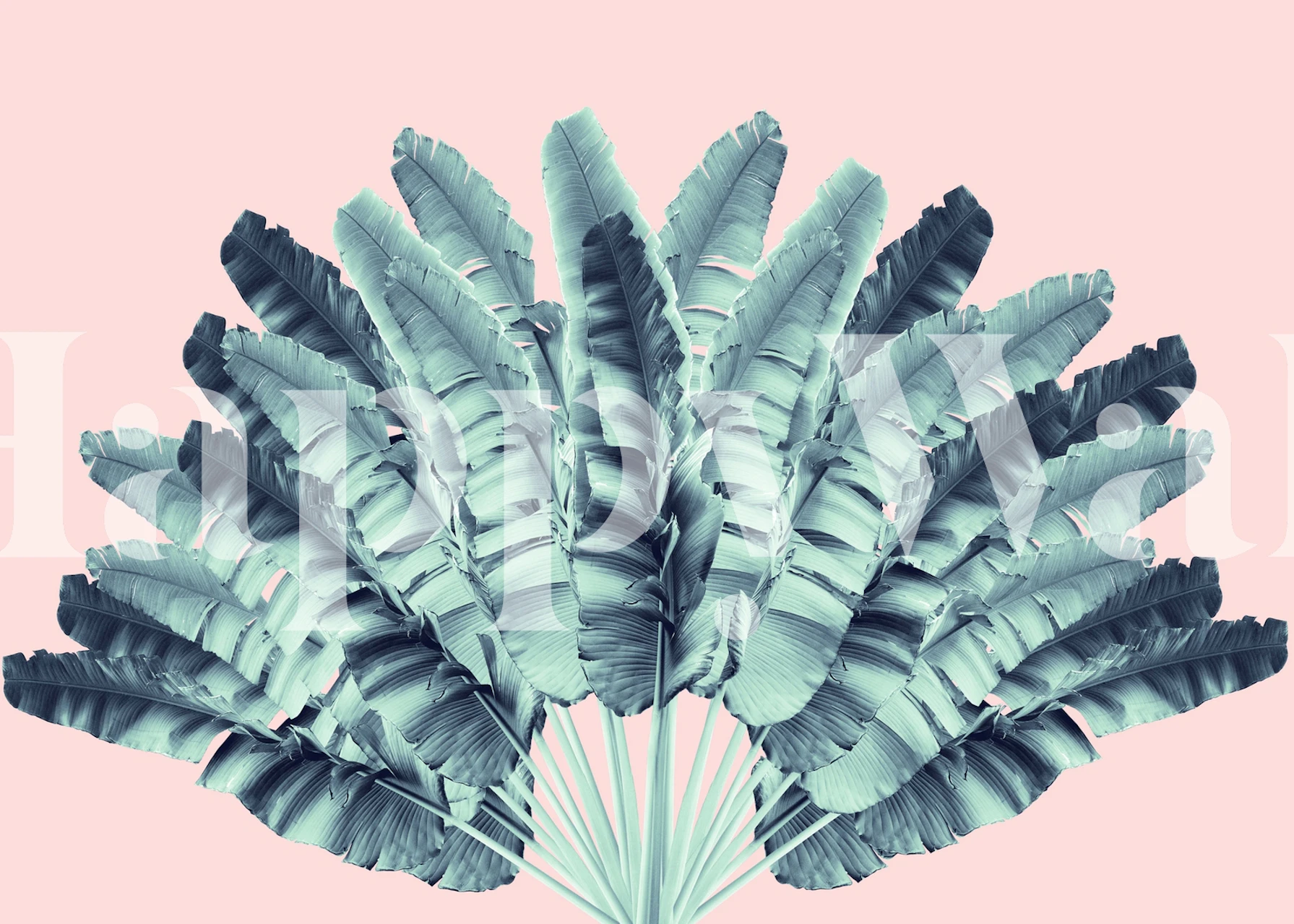 Tropical leaves in teal against a pink background wallpaper