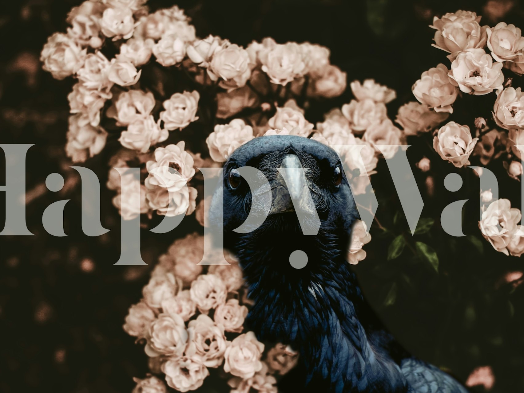 Raven with Wild Roses tapeta w pokoju