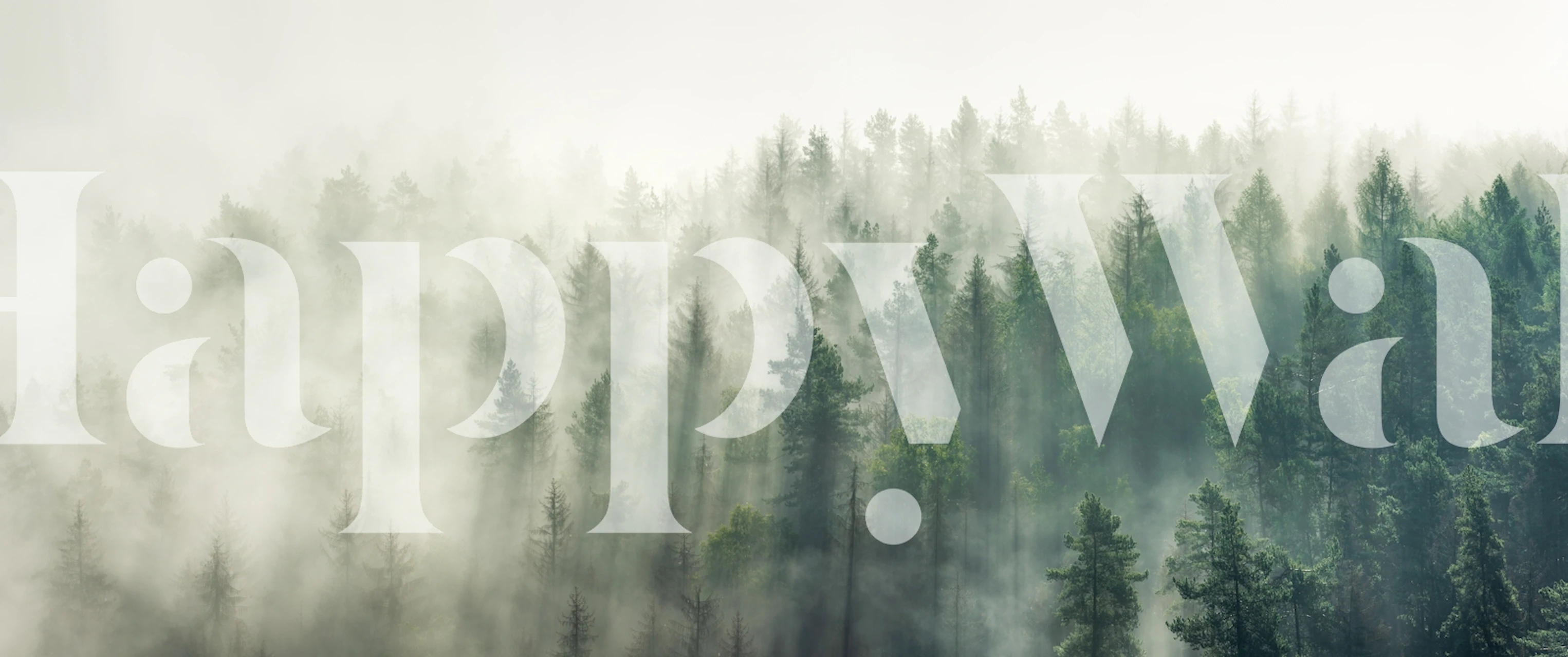 A tranquil panoramic forest mural with misty trees.
