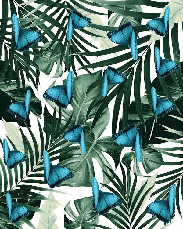 Tropical Butterfly Jungle  15