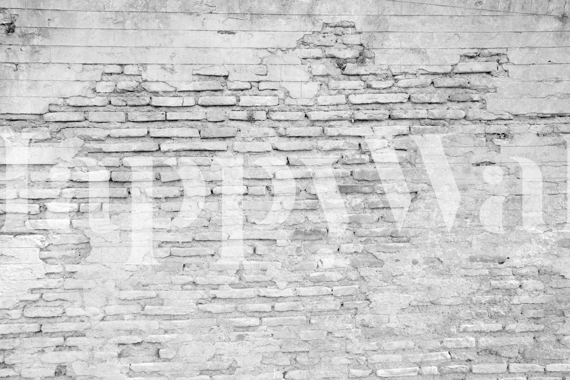 Mur en briques noires et blanches avec des textures rustiques wallpaper