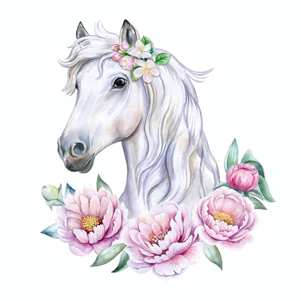 White horse with flowers