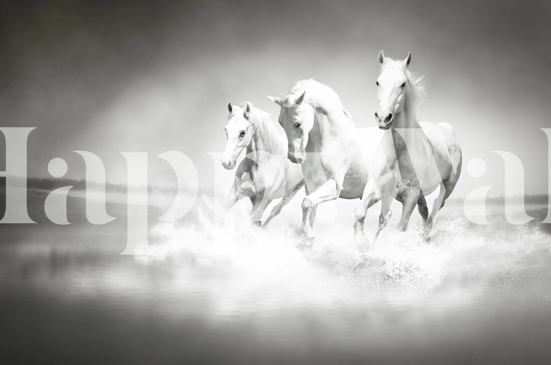 Mural de parede de White horses running