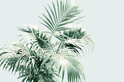 Τοιχογραφία