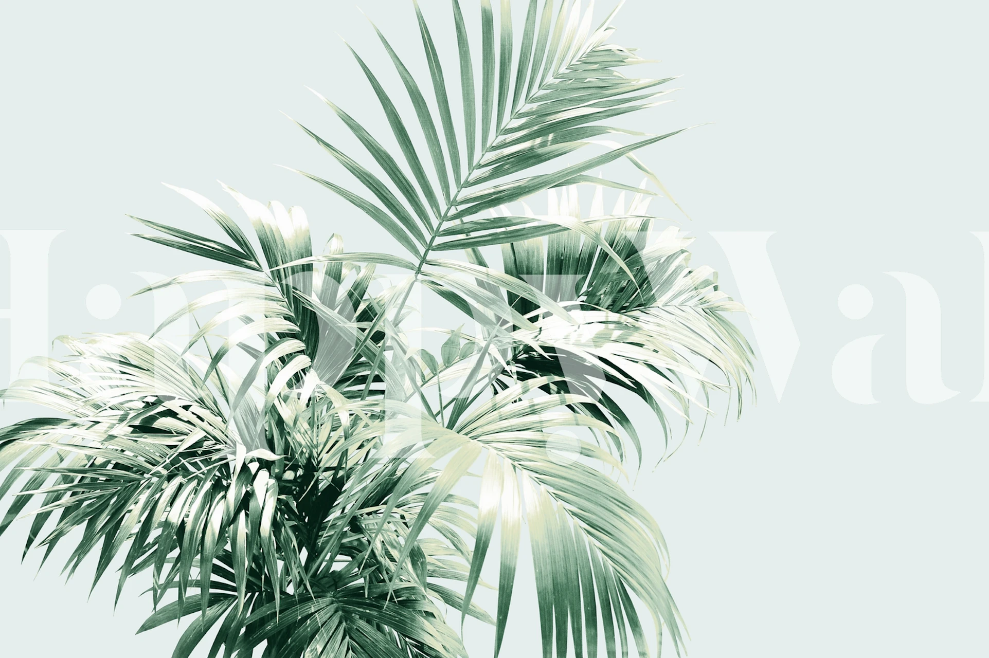 Palm Leaf Vibes 1 pozadina u sobi