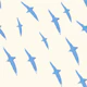 Birds in the sky