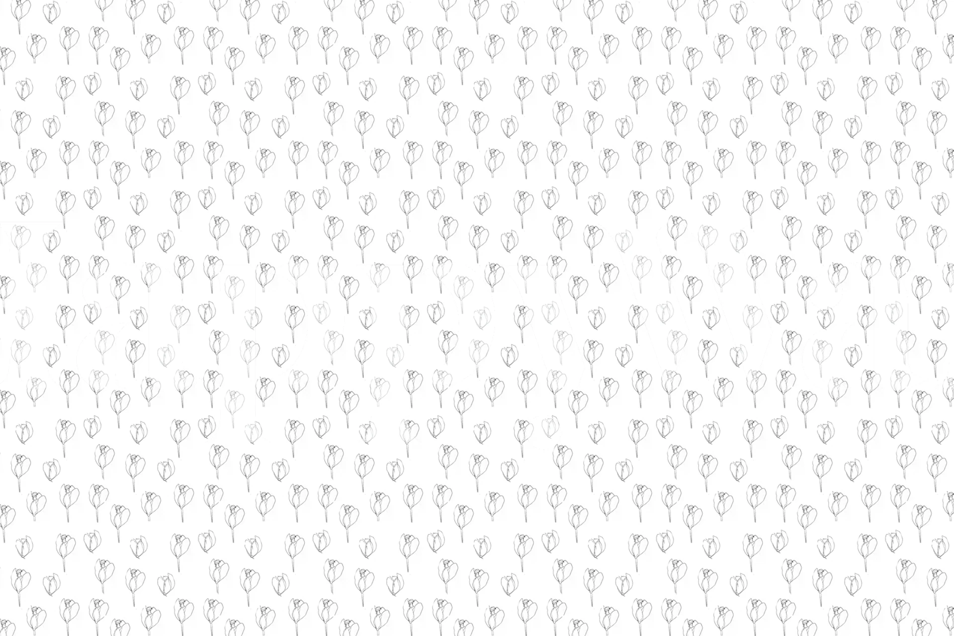 Black and white floral pattern wallpaper with delicate flower outlines