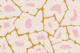 Hippy Funky Flowers 60s 70s 1