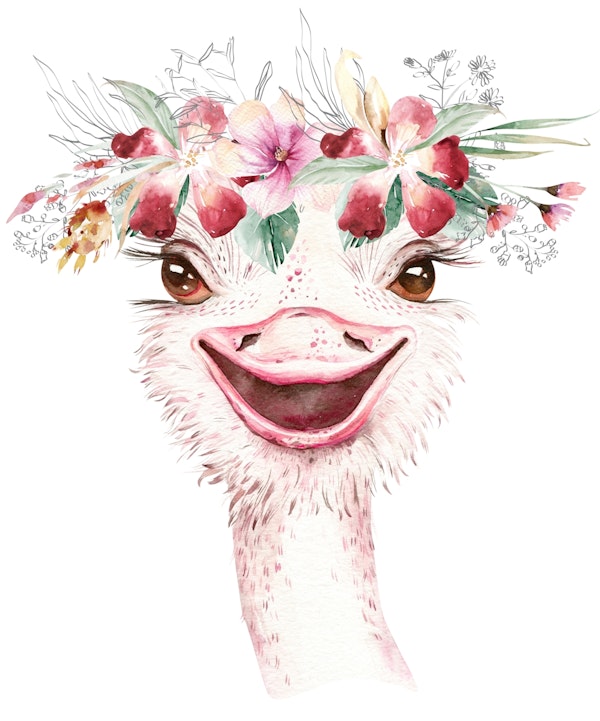Happy ostrich