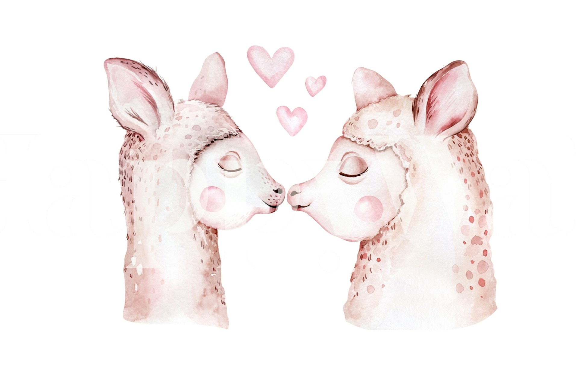 Two adorable llamas kissing with pink hearts, watercolor style wallpaper