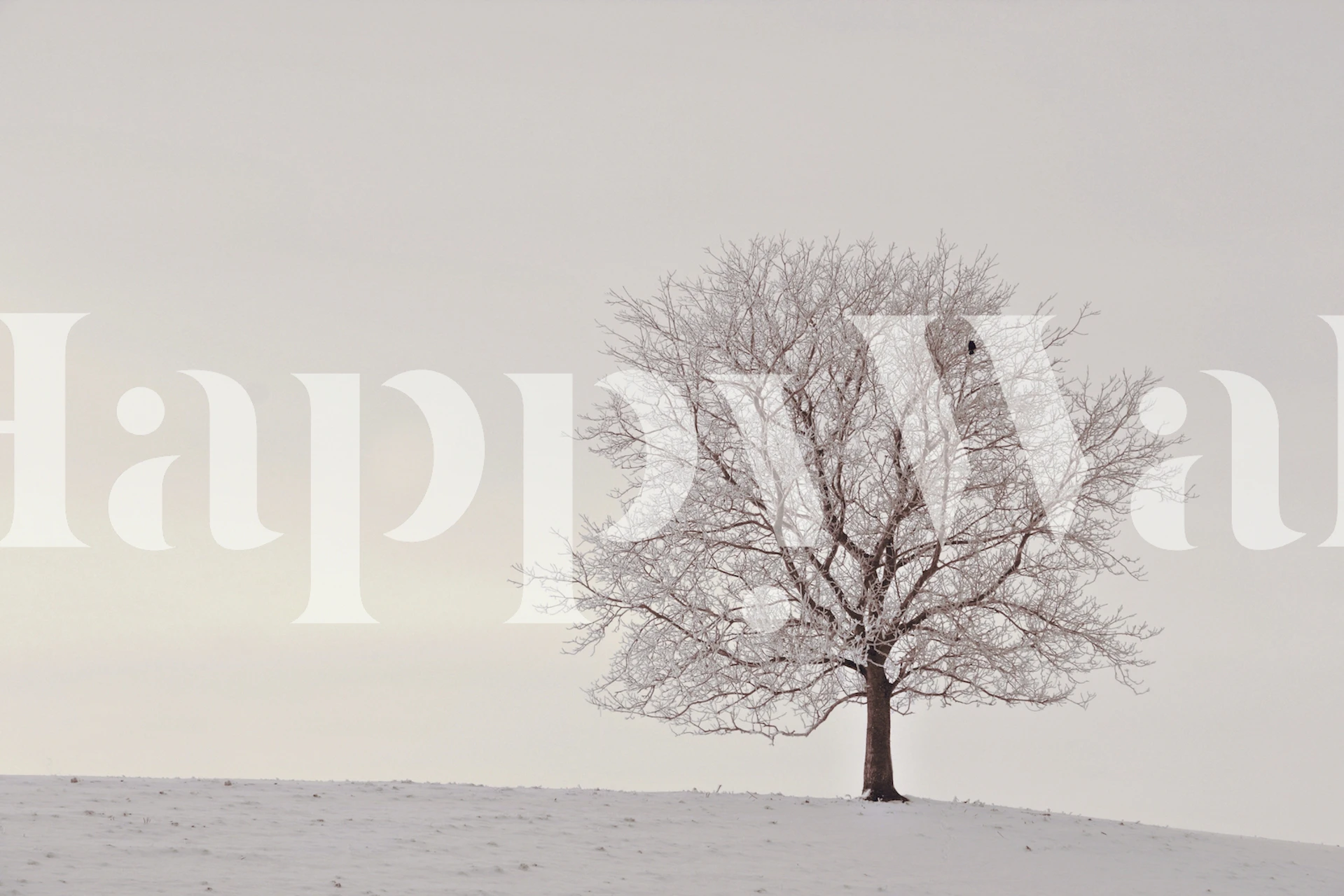 Winter tree with snow on a beige background wallpaper