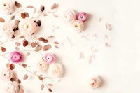 Flower Wall Creme by MS behang