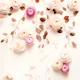 Flower Wall Creme 2 by MS