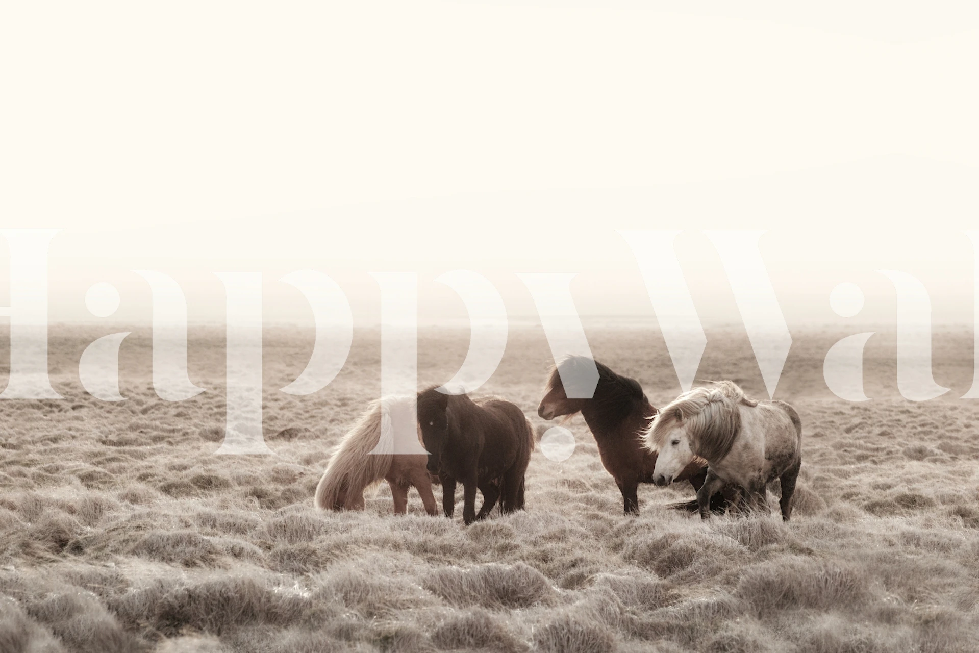 Wild horses in a natural landscape wallpaper