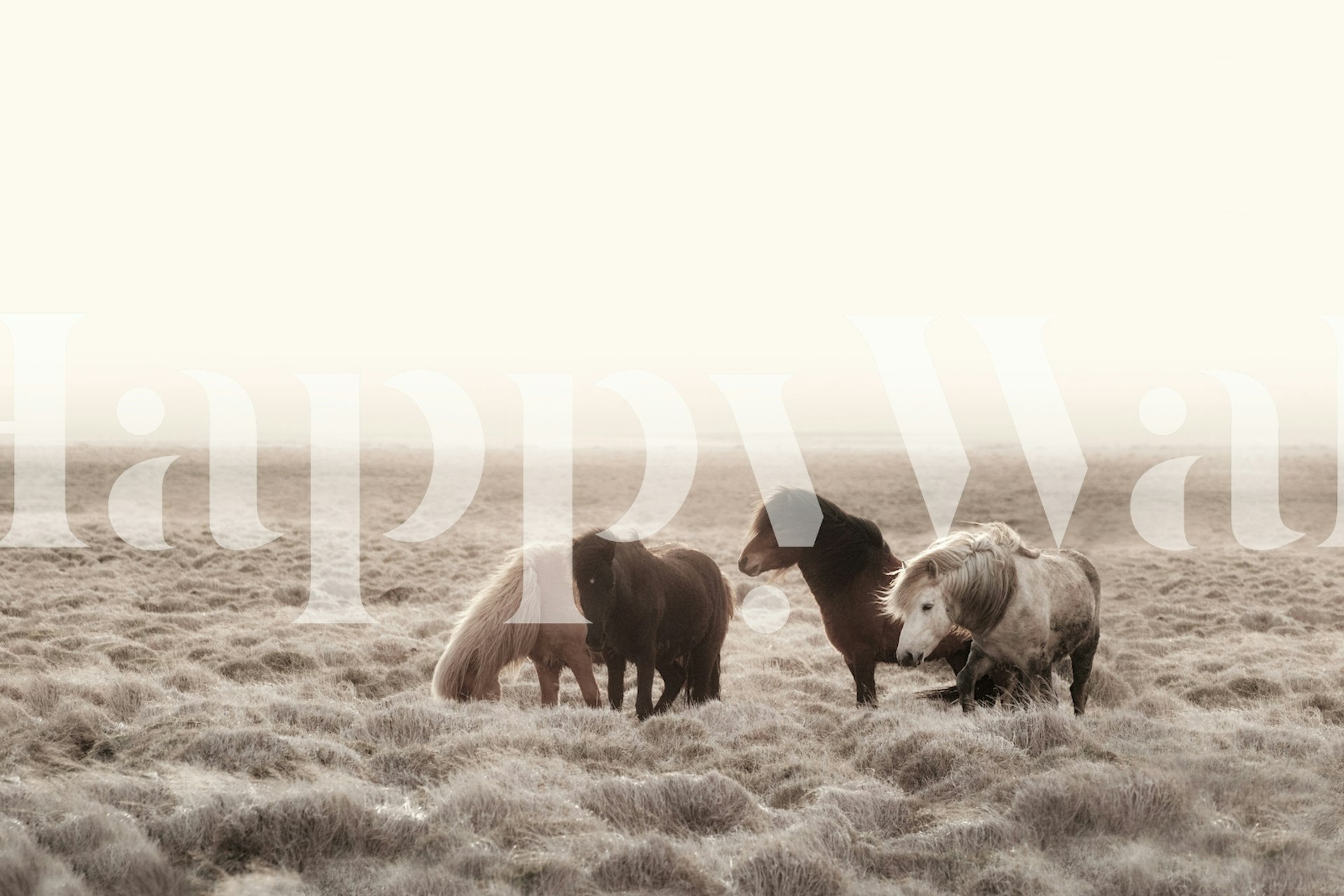 Wild horses in a natural landscape wallpaper