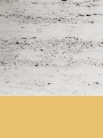 Summer Yellow on Concrete 1 tapet