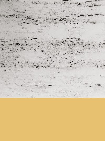 Τοιχογραφία