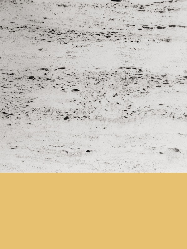 Summer Yellow on Concrete 1