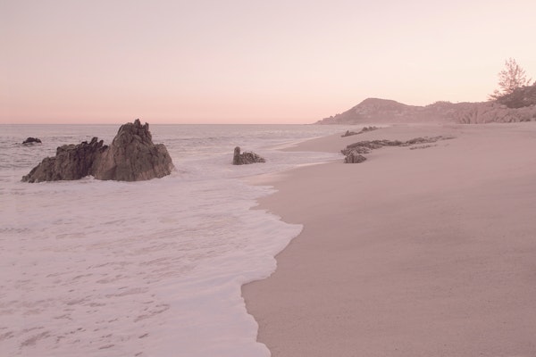 Rosegold Beach Morning