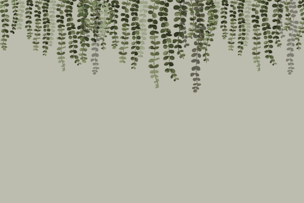 Eucalyptus Wall by MS