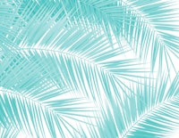 Soft Turquoise Palm Leaves 1a wallpaper