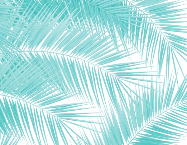 Soft Turquoise Palm Leaves 1a