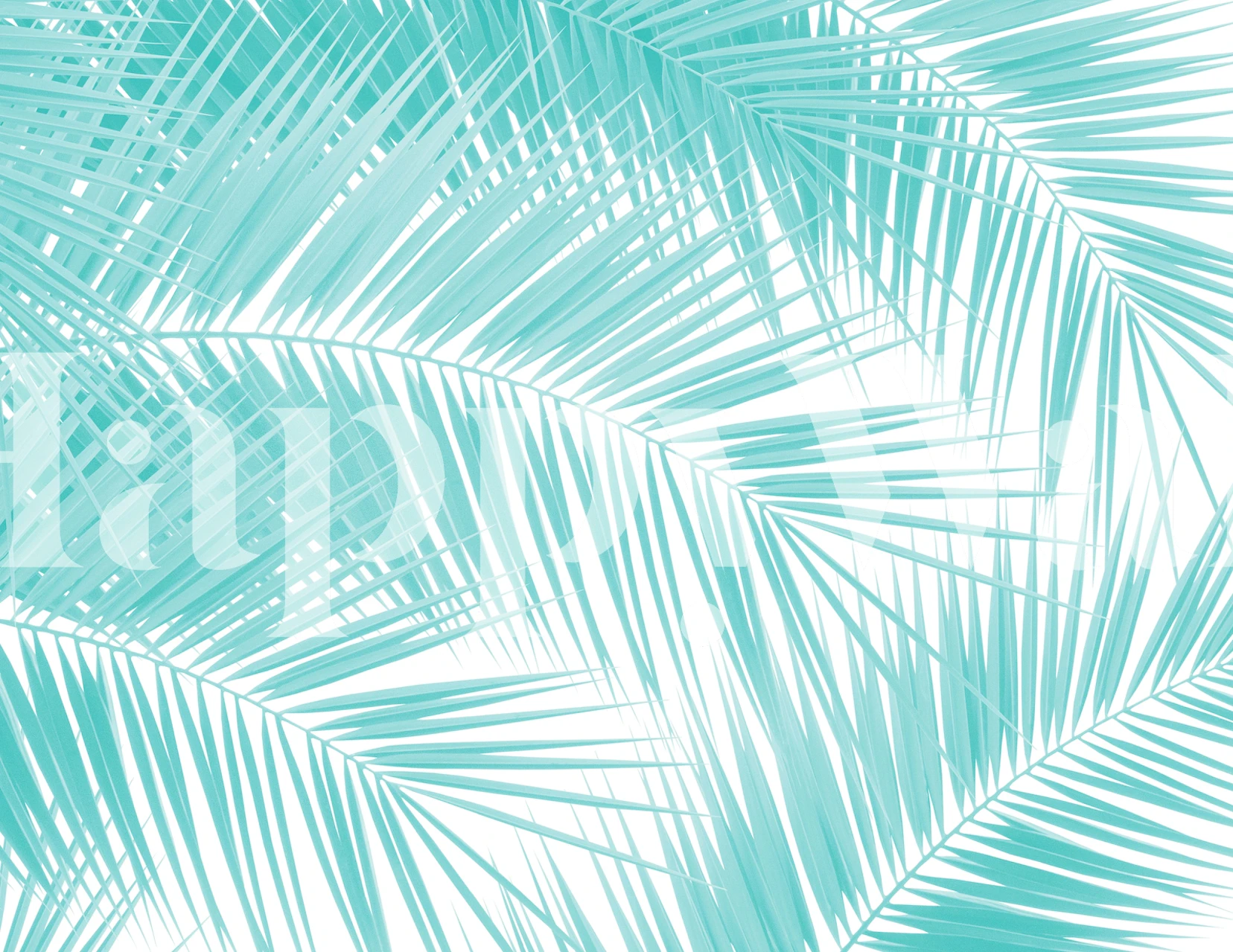 Turquoise palm leaves pattern on a white background wallpaper