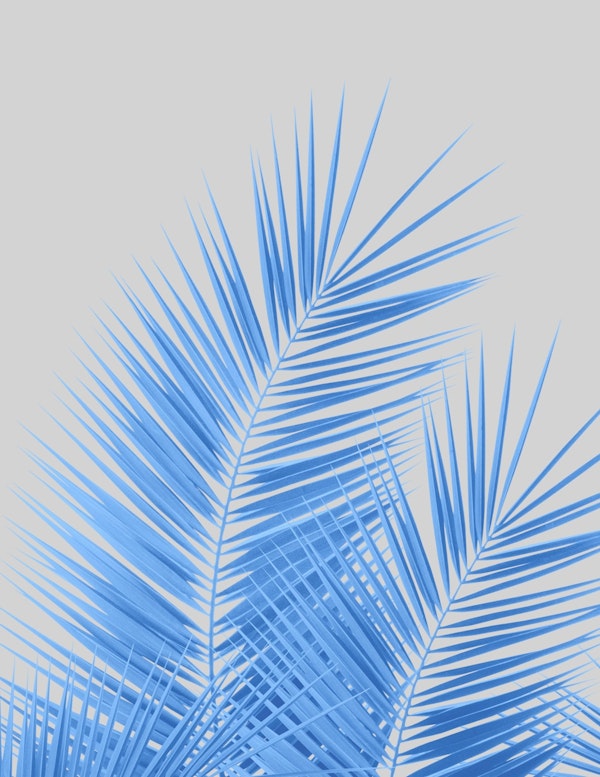 Blue Silver Gray Palm Leaves 1