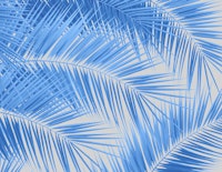 Blue Silver Gray Palm 1a wallpaper