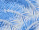 Blue Silver Gray Palm 1a