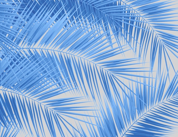 Blue Silver Gray Palm 1a