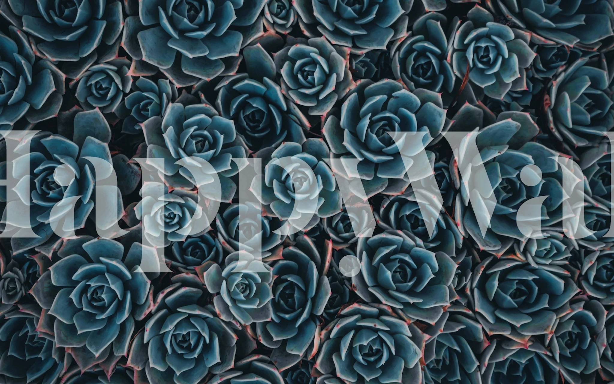 Blue succulents wallpaper design in a room