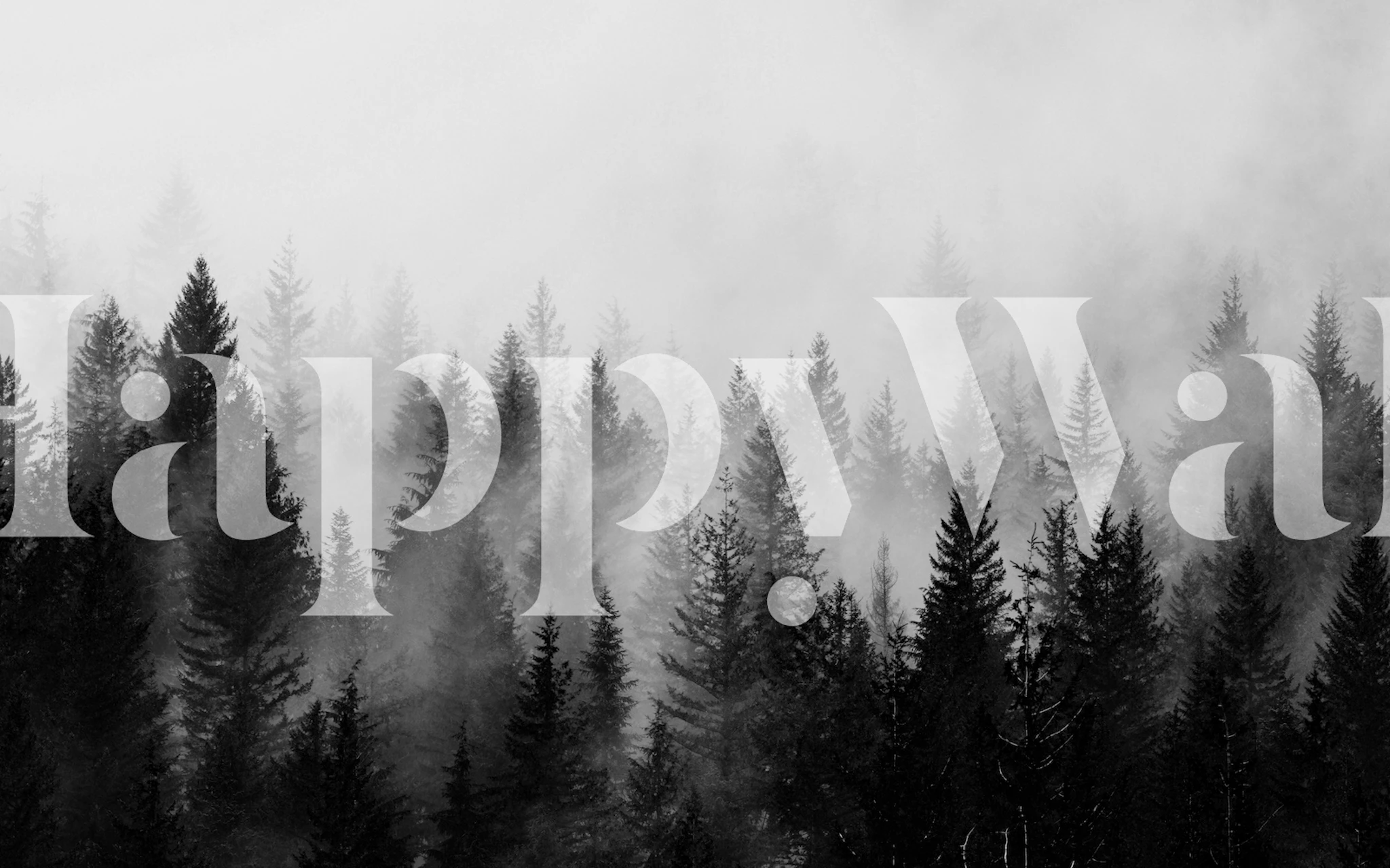 Papier peint mural silhouette de forêt brumeuse avec des arbres en niveaux de gris