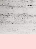 Blush on Concrete 1 tapet