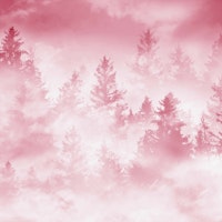 Viva Magenta Forest Dream 1 tapete