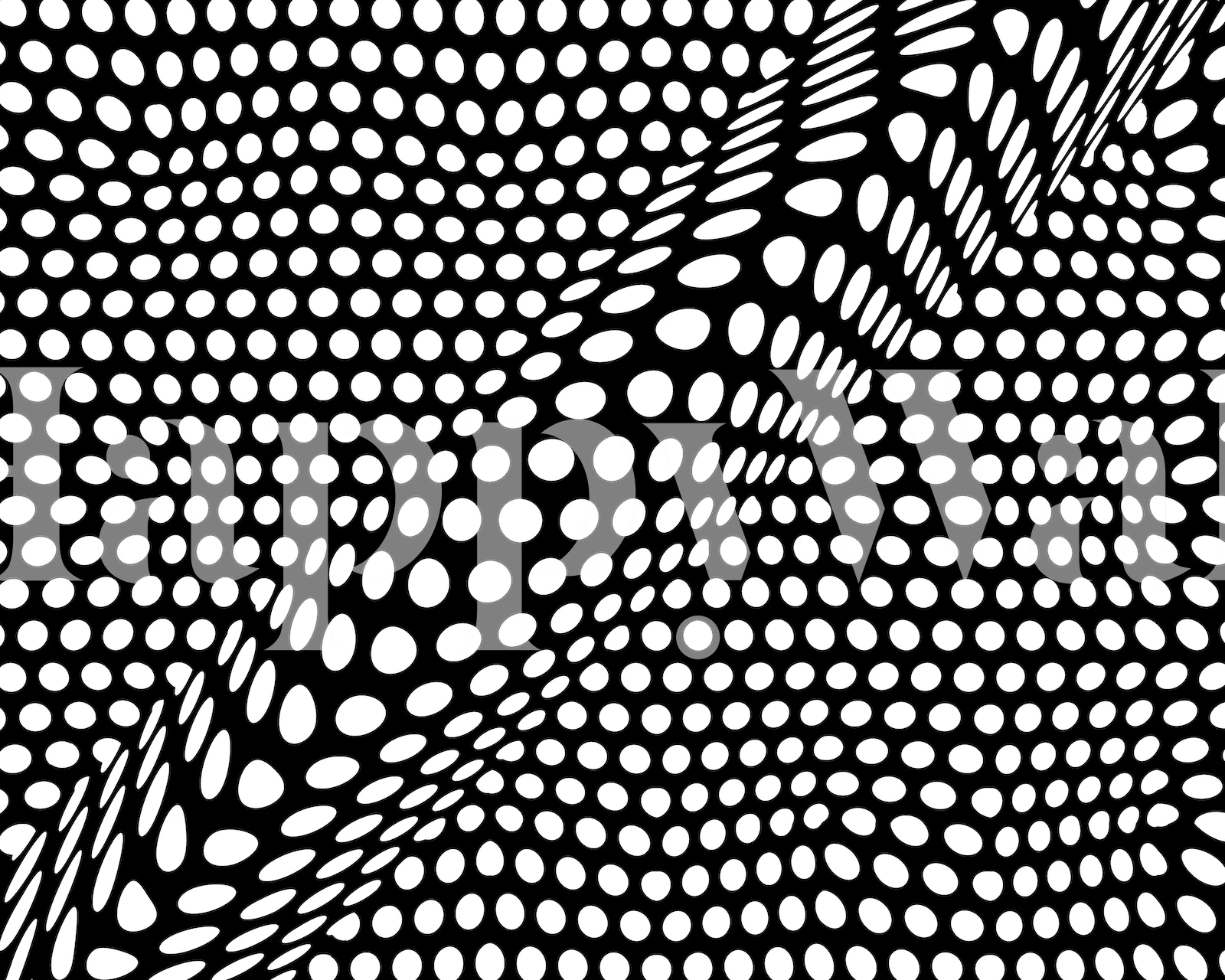 Black and white geometric dot pattern wall mural