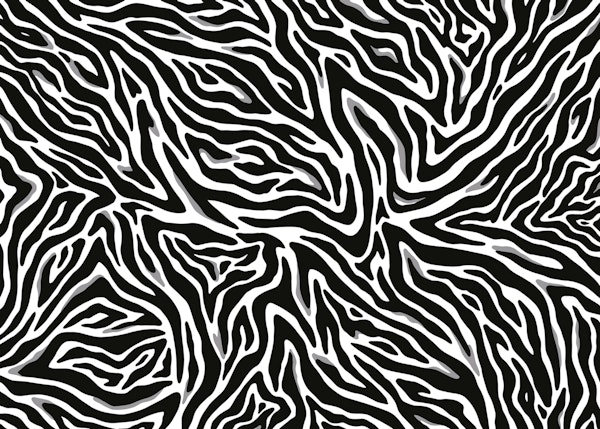 Zebra pattern II