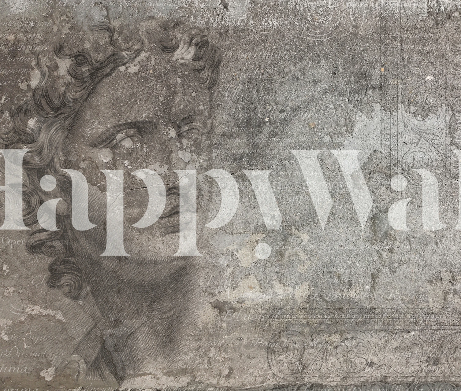 Ancient Rome wall mural in beige tones depicting a classical face and textured background wallpaper