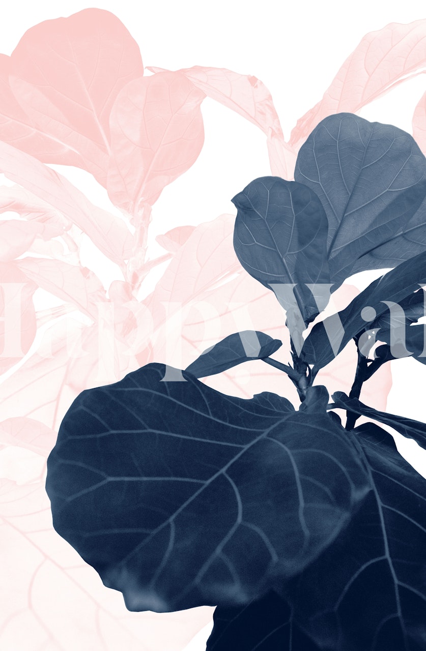 Fiddle leaf plant in blush pink and blue tones wallpaper